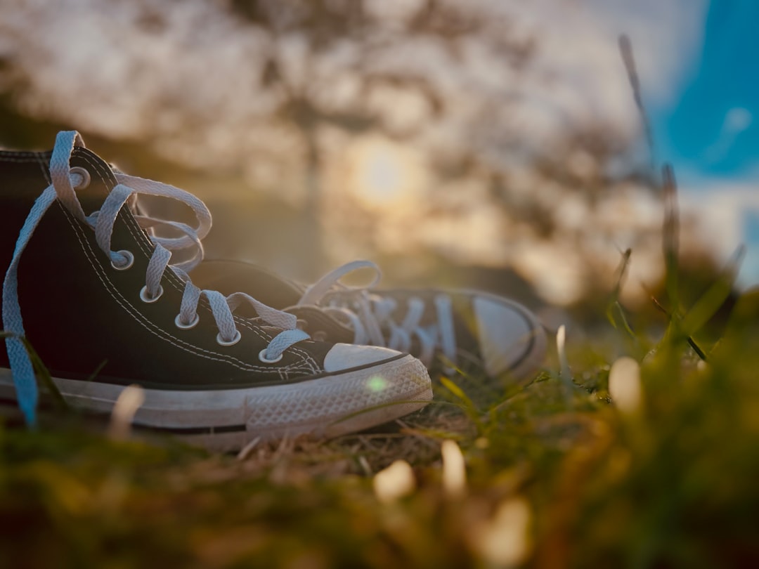 Photo high top sneakers